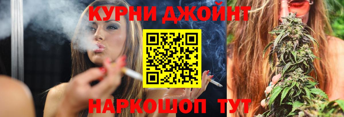 Конопля ГИДРОПОН  Бошки Шишки марихуана  Каннабис Bruce Banner  Вход с VPN  Бошки Шишки планчик  Санкт-Петербург 